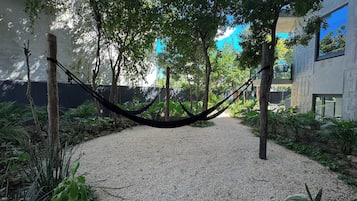Terraza o patio