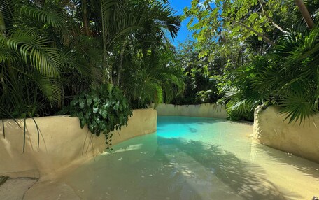 A clear pool surrounded by lush greenery and a concrete wall.