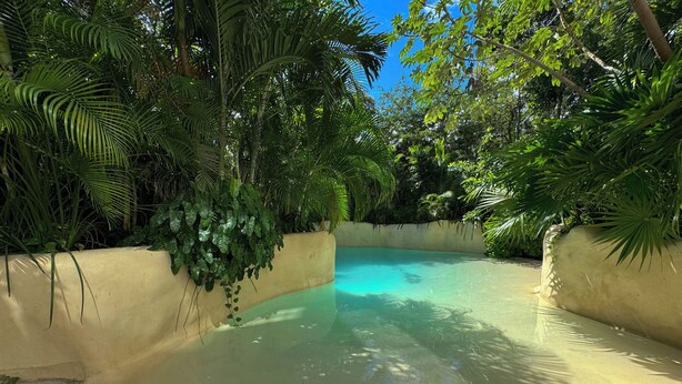A clear pool surrounded by lush greenery and a concrete wall. - Luxury Studio Private pool IIK C409SF (Tulum)