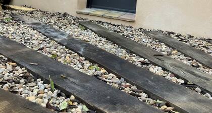 Dove in the heart of the garrigue nimoise