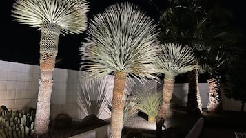 Nhà, phù hợp cho người khuyết tật | 3 phòng ngủ