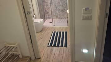Shower, hair dryer, bidet, towels