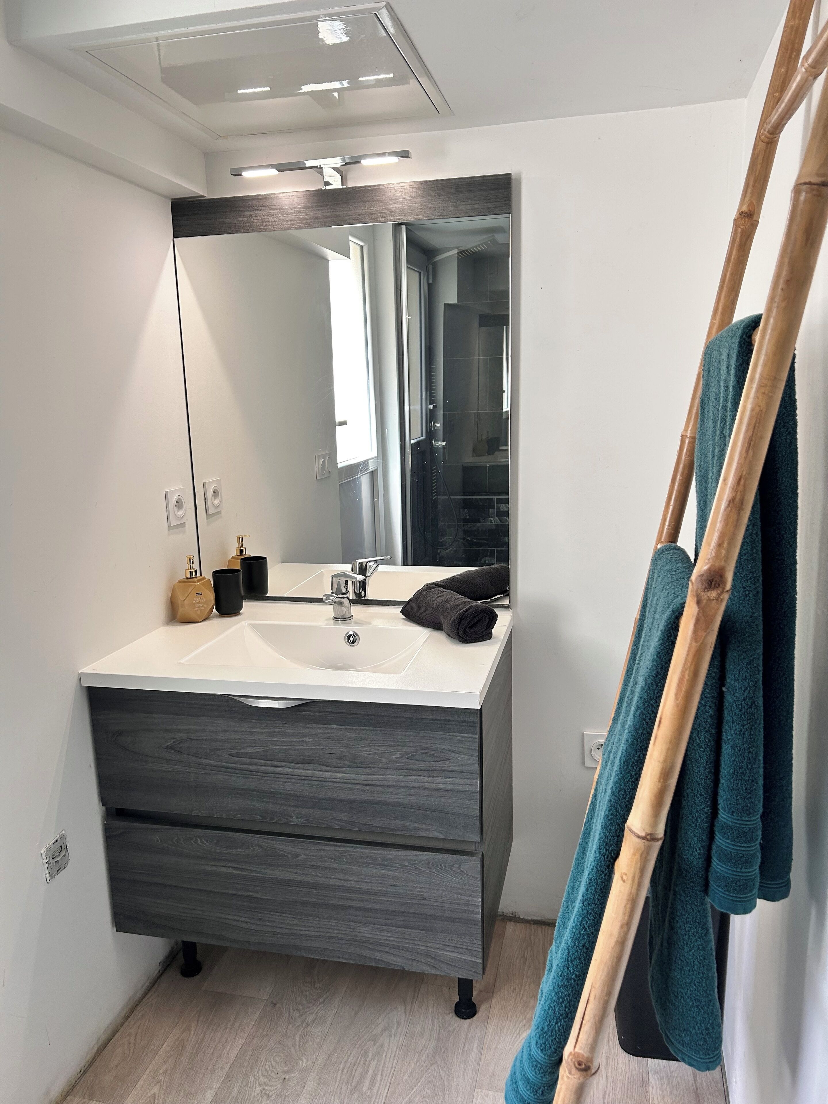 Regadera, secadora de cabello, toallas, jabón 