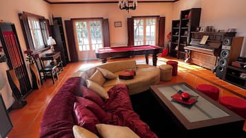 TV connectée, cheminée, livres