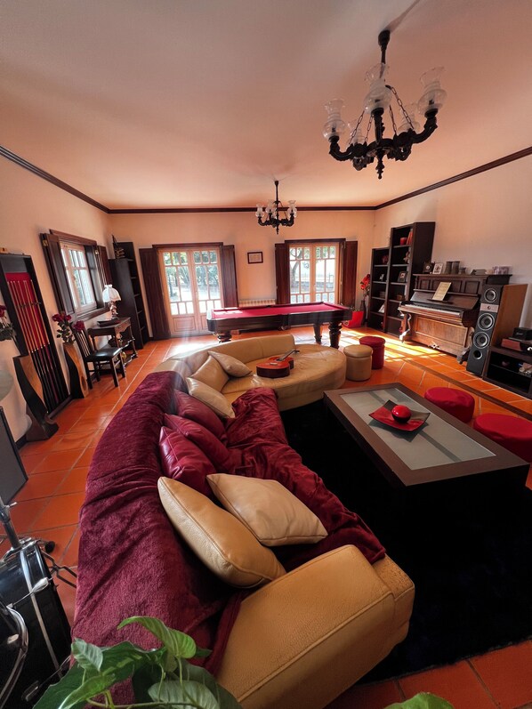 Smart TV, chimenea y libros 