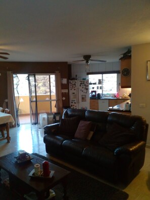 Smart TV, DVD player, books, stereo