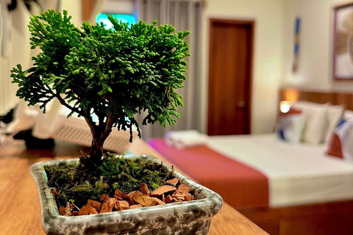 Romantic Apartment | Iron/ironing board, free WiFi