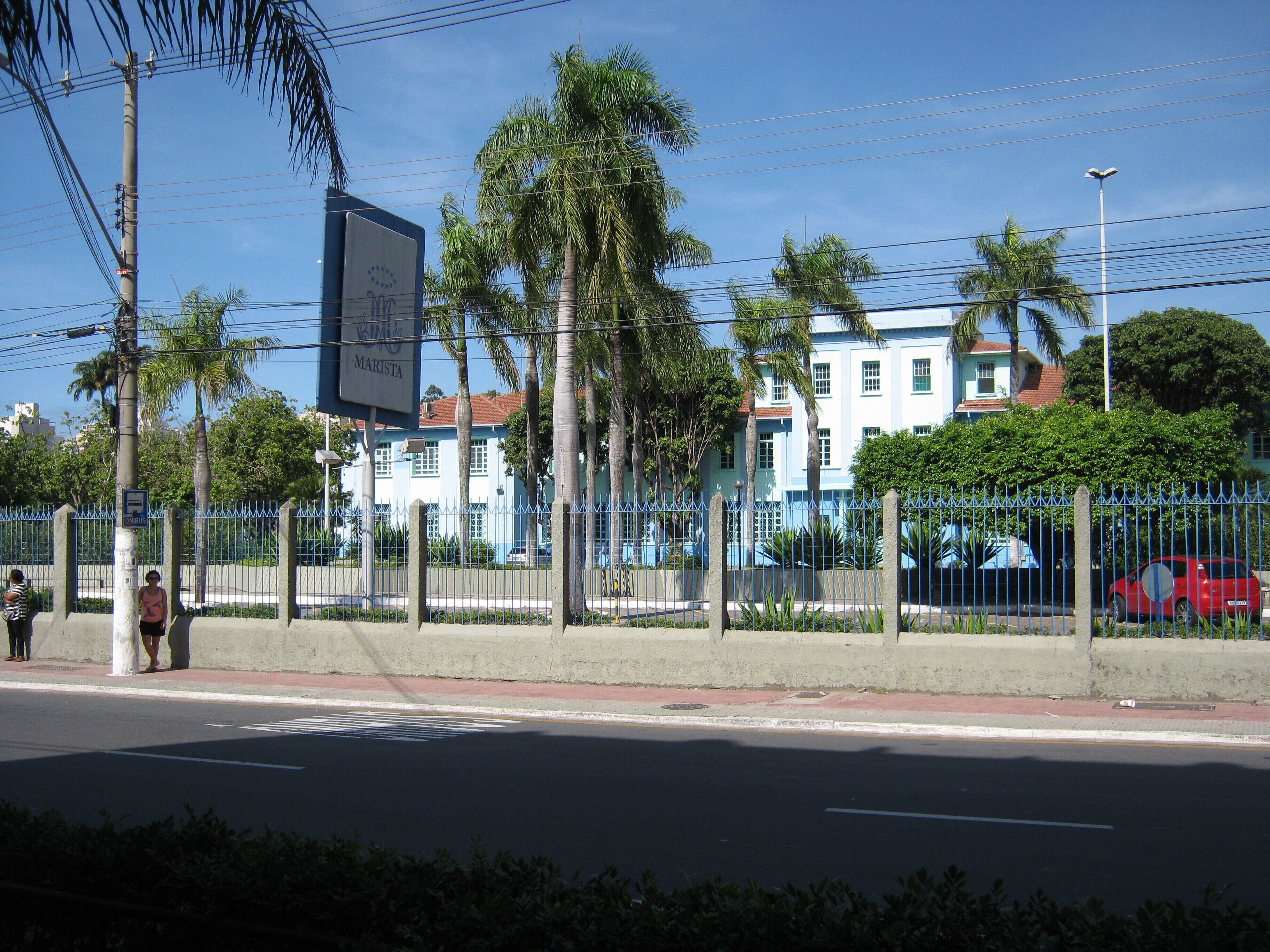 Vista de la calle con una cerca azul, palmeras y un edificio de fachada azul.