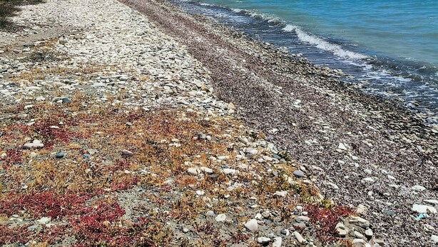 Ein Kiesstrand, strahlend blauer Himmel, eine entfernte Küstenlinie mit Gebäuden und eine Person, die am Ufer entlanggeht.