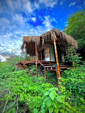 Suite Deluxe, balcon, vue jardin