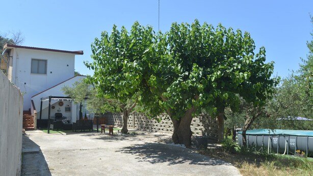 Un quartier résidentiel avec une maison blanche, un espace extérieur aménagé avec un auvent, et un grand arbre qui offre de l’ombre.