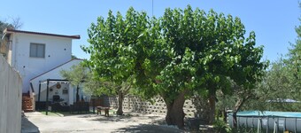 Here you find your serenity. Villa surrounded by nature with swimming pool.