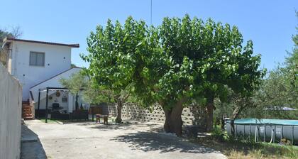 Here you find your serenity. Villa surrounded by nature with swimming pool.