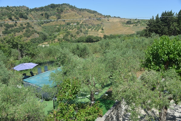 A view of a hillside with a swimming pool and lounge chairs, surrounded by greenery and a distant view of a hilly landscape.