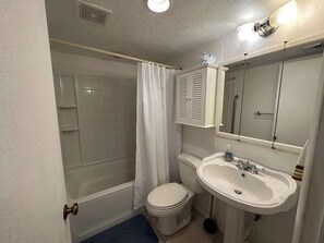 Shower, hair dryer