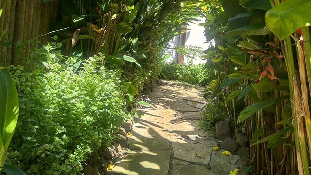 Un chemin de pierre bordé d’une végétation tropicale luxuriante et d’une clôture en bambou.