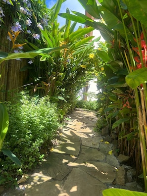 Terraço/pátio