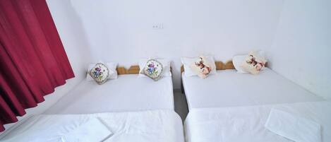 A room with two single beds, each with a pillow and a small decorative pillow.