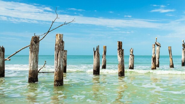 Varias estacas de madera en aguas poco profundas bajo cielos despejados.
