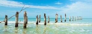 A series of wooden posts in shallow water with clear skies.