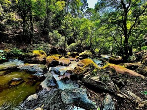 Miscellaneous - Jacuzzi Cabin River View and Heated Pool 9 (Valle de Bravo)