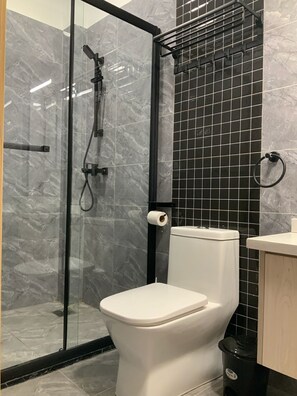 Shower, towels, soap, toilet paper