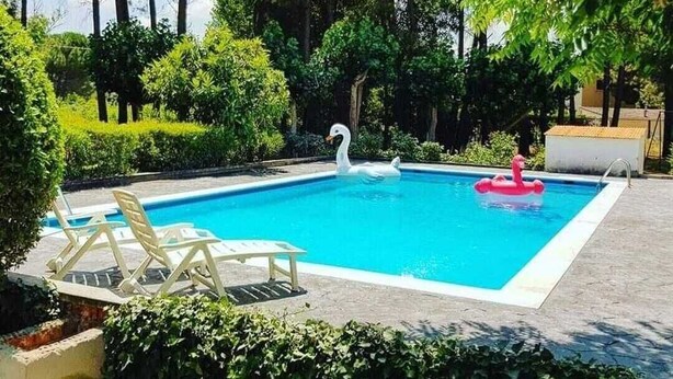 A swimming pool with a swan float and a flamingo float, surrounded by lush greenery and trees.