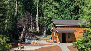 A wooden cabin with a metal roof, surrounded by dense forest.