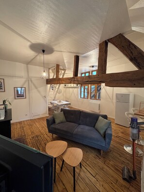 Smart TV, books - Unique apartment in the historic heart of Troyes - Ruelle des chats/rue Champeaux (Troyes)