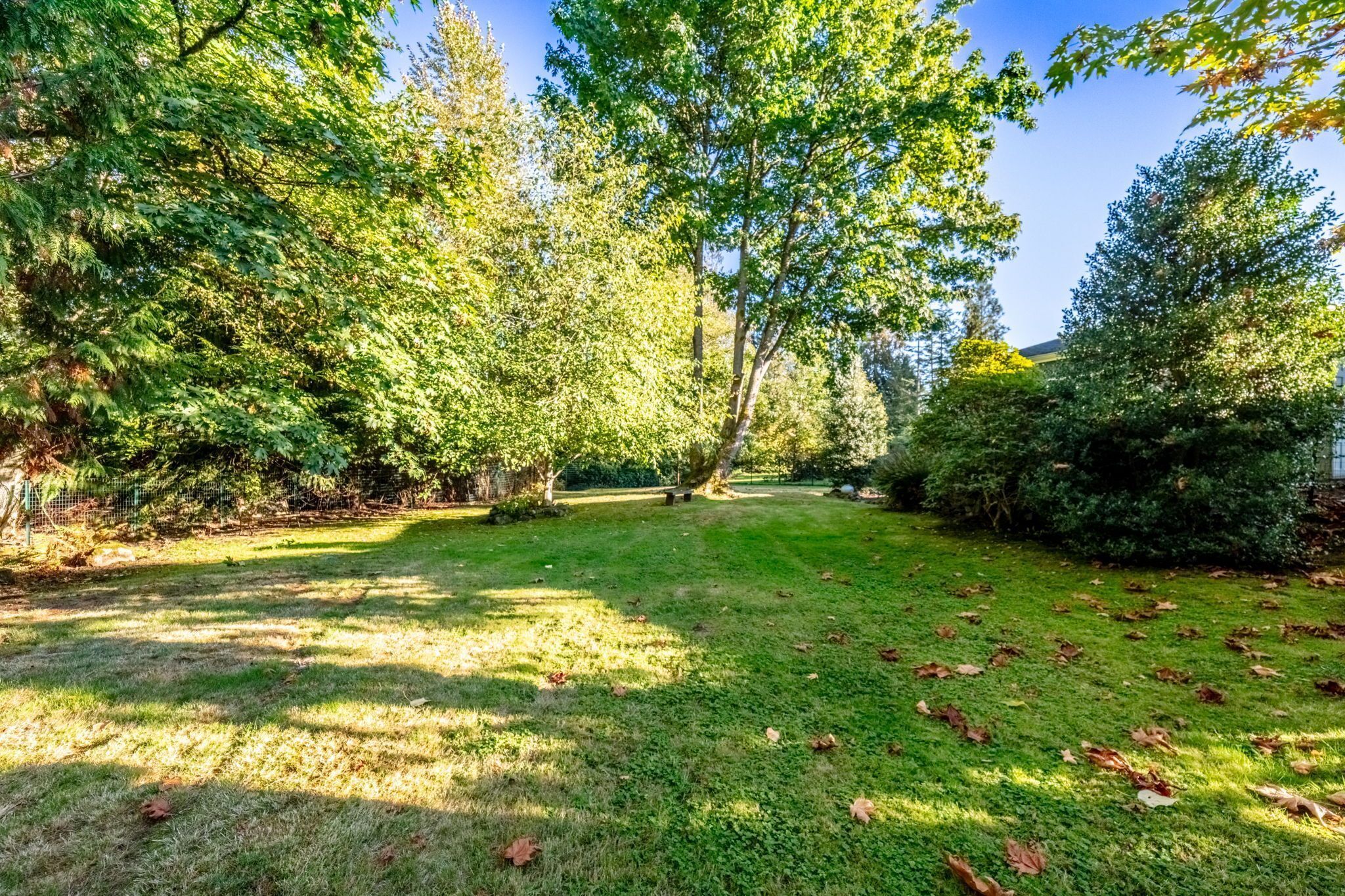 Een verzorgde tuin met verschillende bomen en struiken, een heldere lucht en een gazon met verspreide herfstbladeren.