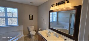 Hair dryer, towels, soap, shampoo - NEW! Ready for Families and Business Travelers (Raleigh)
