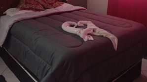 ห้องซูพีเรียทวิน | ห้องน้ำ | ของใช้ในห้องน้ำฟรี, สบู่, ยาสระผม, กระดาษชำระ