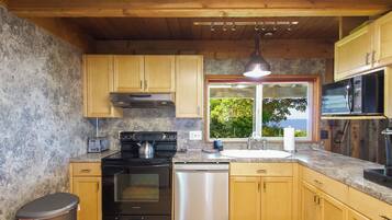 Microwave, oven, stovetop, dishwasher