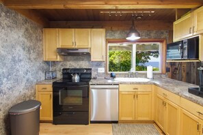 Microwave, oven, stovetop, dishwasher