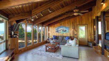 Télévision, cheminée, lecteur de DVD, livres