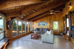 Televisión, chimenea, reproductor de DVD y libros 