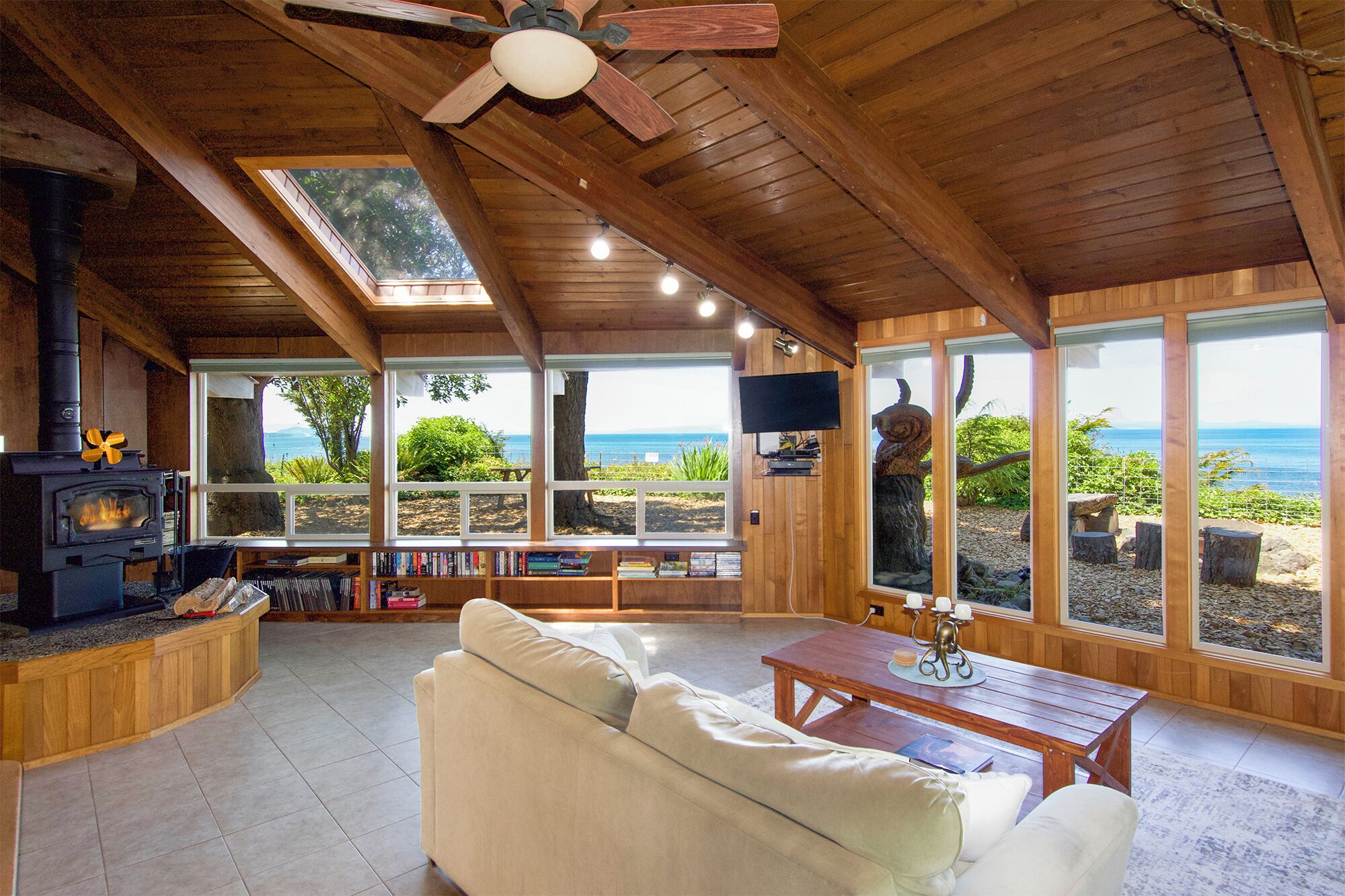 Televisión, chimenea, reproductor de DVD y libros 