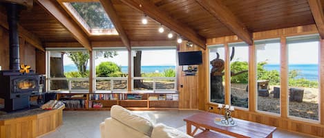 TV, fireplace, DVD player, books