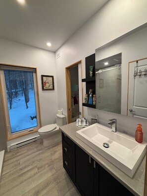 Shower, towels, soap, toilet paper