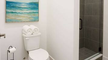 Shower, hair dryer, shampoo