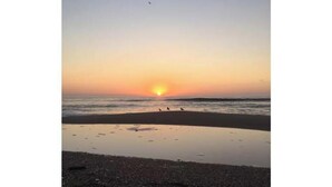 A beach scene with the sun setting over the horizon, calm water reflecting the sky, and a few birds on the sand.