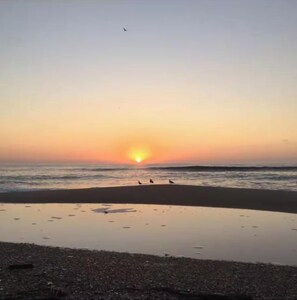 Cena de praia com o sol se pondo no horizonte, água calma refletindo o céu e algumas aves na areia.