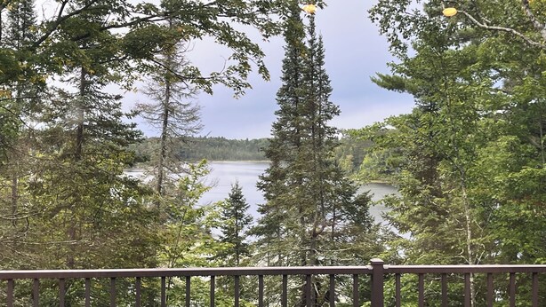 Un lac entouré d’une forêt dense et une terrasse en bois.