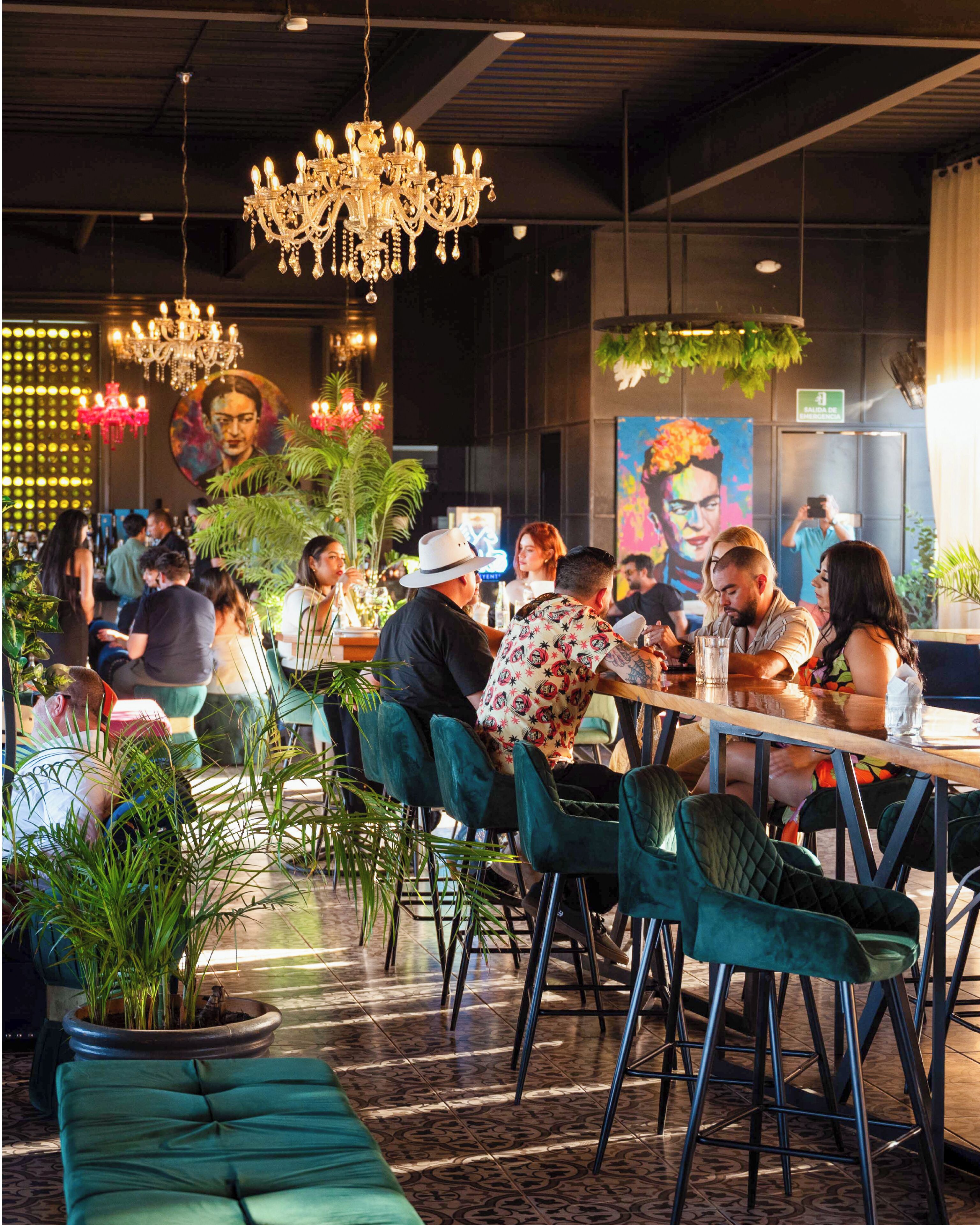 3 bares, bar en la azotea