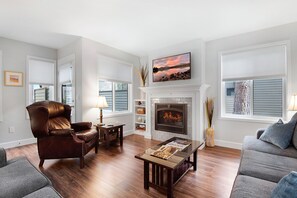 Televisión, chimenea y libros 