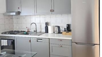 Oven, stovetop, dishwasher