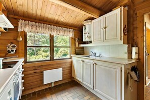 Fridge, oven, stovetop, toaster