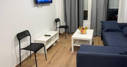 Golondrinas de Alicante.