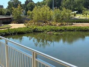 Property grounds - The Golden View Of Atlanta (Atlanta)