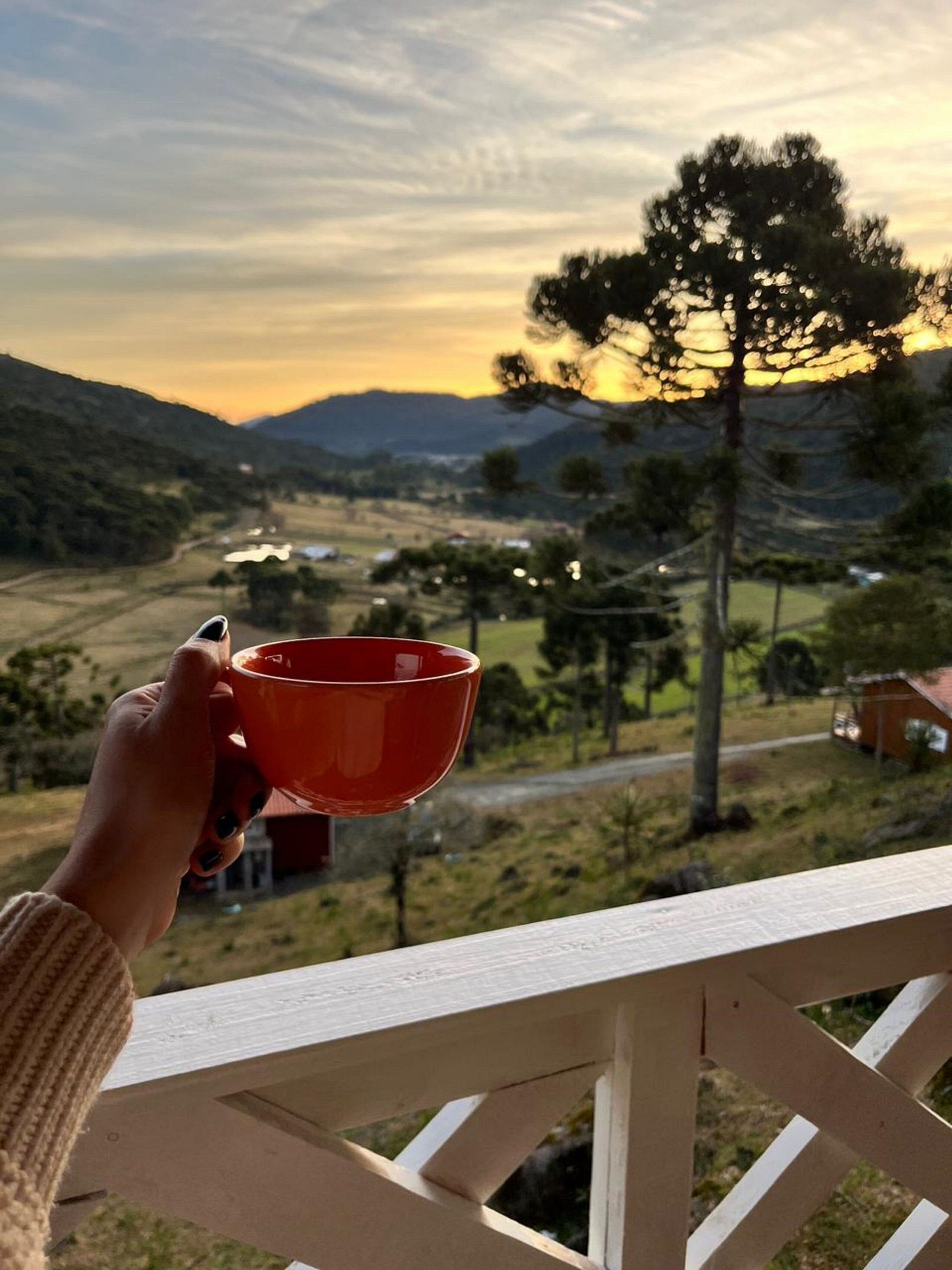 A hand holding a red bowl, overlooking a scenic landscape with hills and a tree, viewed from a balcony with a wooden railing.